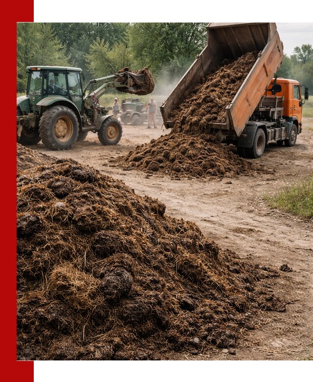 Доставка навоза самосвалами в Шатуре для сельхозпотребностей